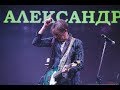 Александр Долгов - Твой Мир Live at Feeling Blues Festival 2018
