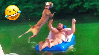 New Funny Animals 2024 😂 Funniest Cats and Dogs #20 🐶😻 Pets Awesome