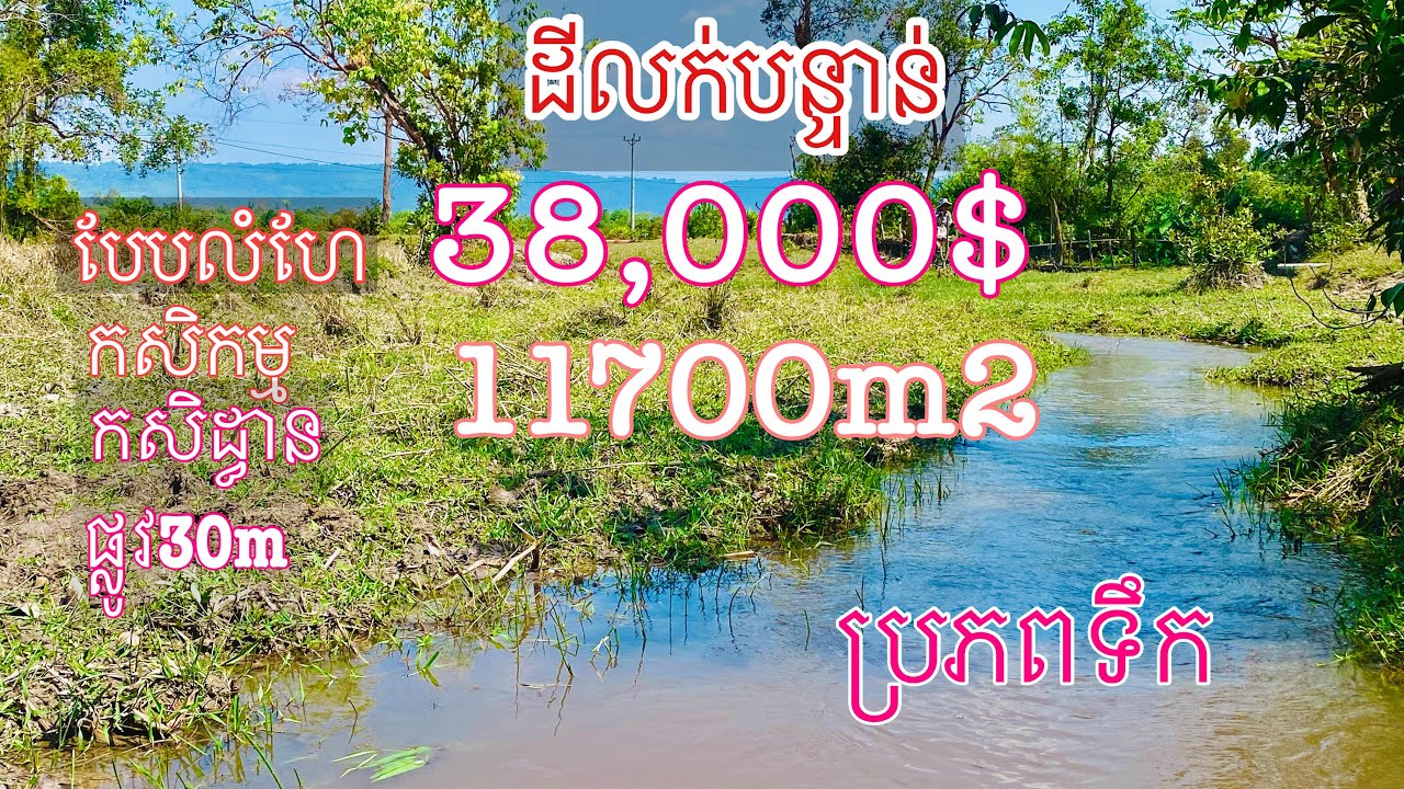 Real Estate632 | ដីលក់បន្ទាន់បែបលំហែកសិដ្ធានកសិកម្ម​ Farm Land for sale |085282882