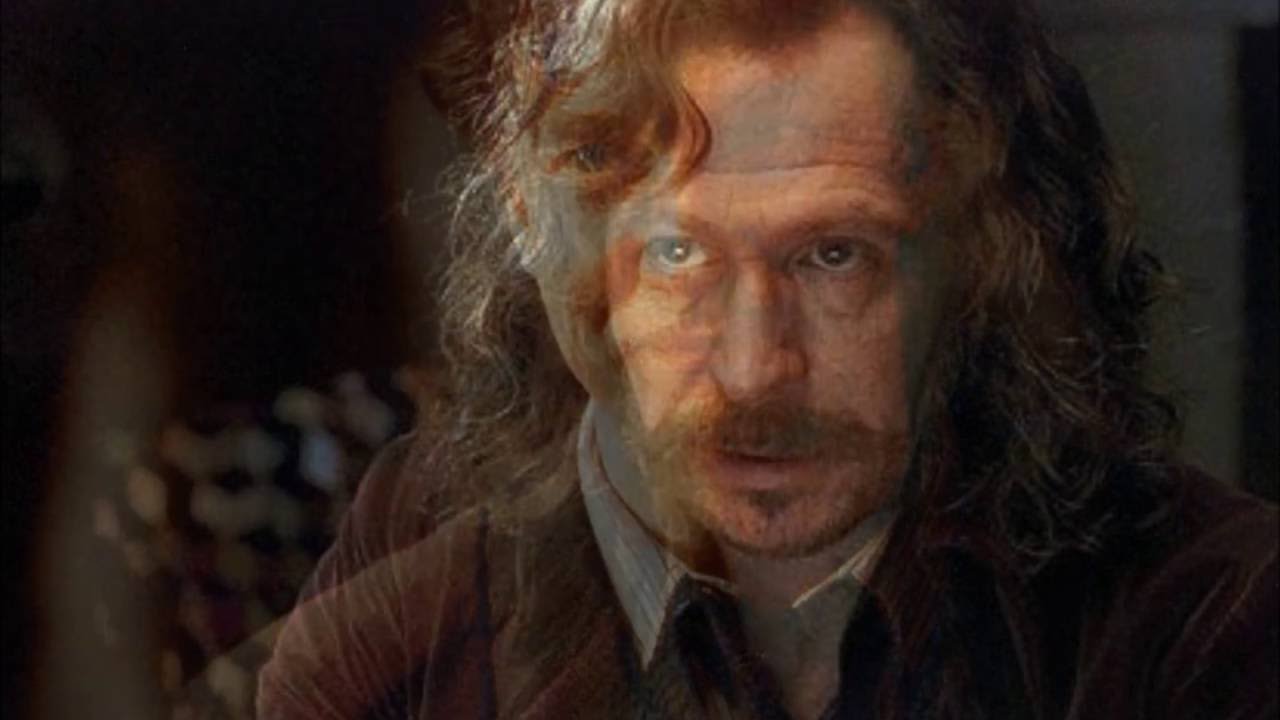 Harry Potter. A Tribute To All Those Who Died In The War Against Evil