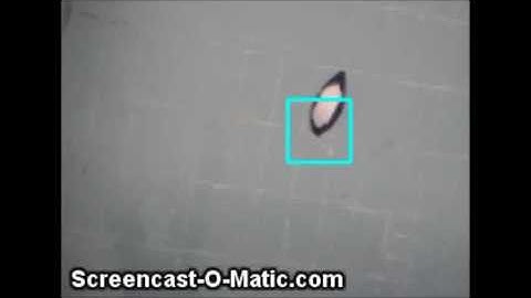 Object Detection Algorithms for Boat Detection