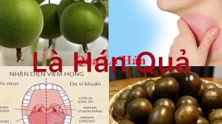 Lợi ích của La Hán Quả Mát phổi tốt cho người hút thuốc /Benefits of Arhat Fruit lungs are good f