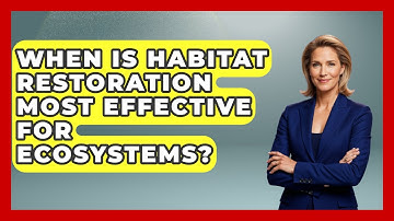 When Is Habitat Restoration Most Effective for Ecosystems? | Explaining Ecology News
