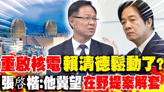 '重啟核電'賴清德'鬆動了'? 張啓楷:他冀望'在野提案解套'小英自豪'能源轉型'成功? 張啓楷:'台電倒.人民賠'