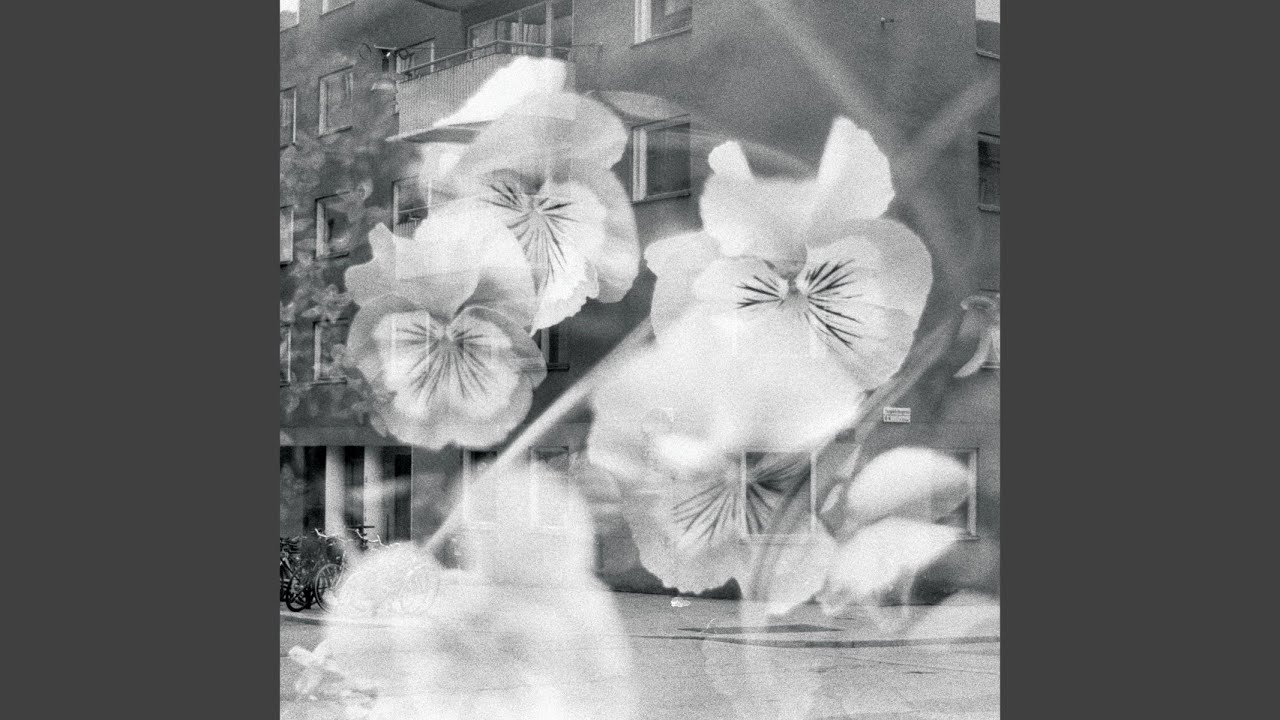 Broken auf YouTube ansehen Broken auf YouTube ansehen