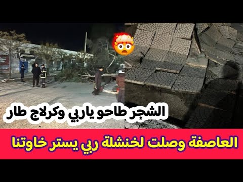 عاجل جدا الرياح القوية و العاصفة تصل الان إلى قايس بولاية خنشلة سقوط الاشجار واقتلاع البلاط