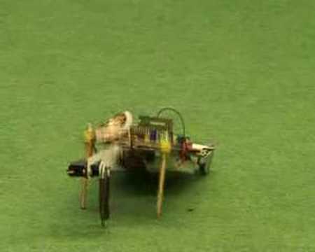 Robot learning a forward walking policy