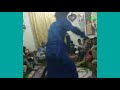 اروع رقص مزمار يمني من مدينة ذمار شاهد التوازن والحركات واللياقه عرس الغالي اسامه حميد الخلقي 