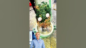 #fcnfm #royoutube Flat Die Pellet Mill for Improved Animal Health and Wellbeing for Poultry and Live