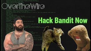 OverTheWire WarGames: Get started hacking with Bandit and Natas!