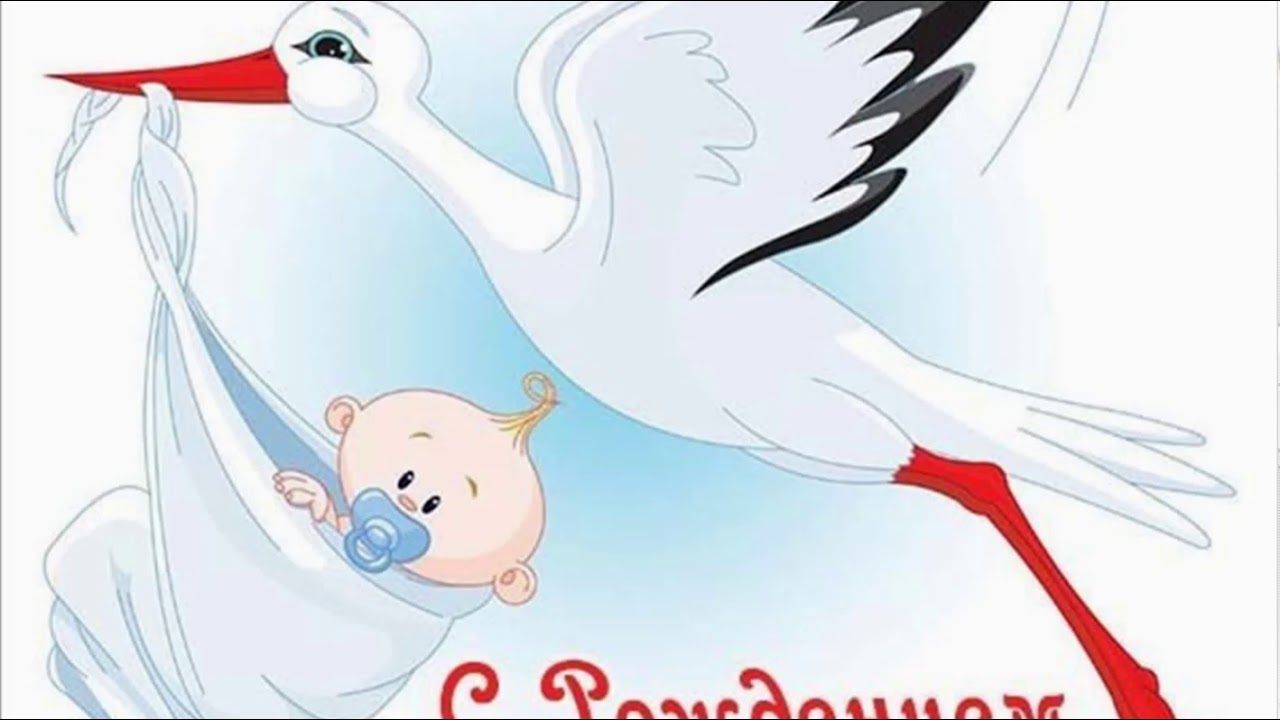 День рождения аиста День рождения аиста