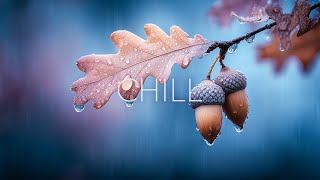 Relaxing Guitar  For Rest  Focus  Acoustic Melodies For Stress Relief  Tranquility