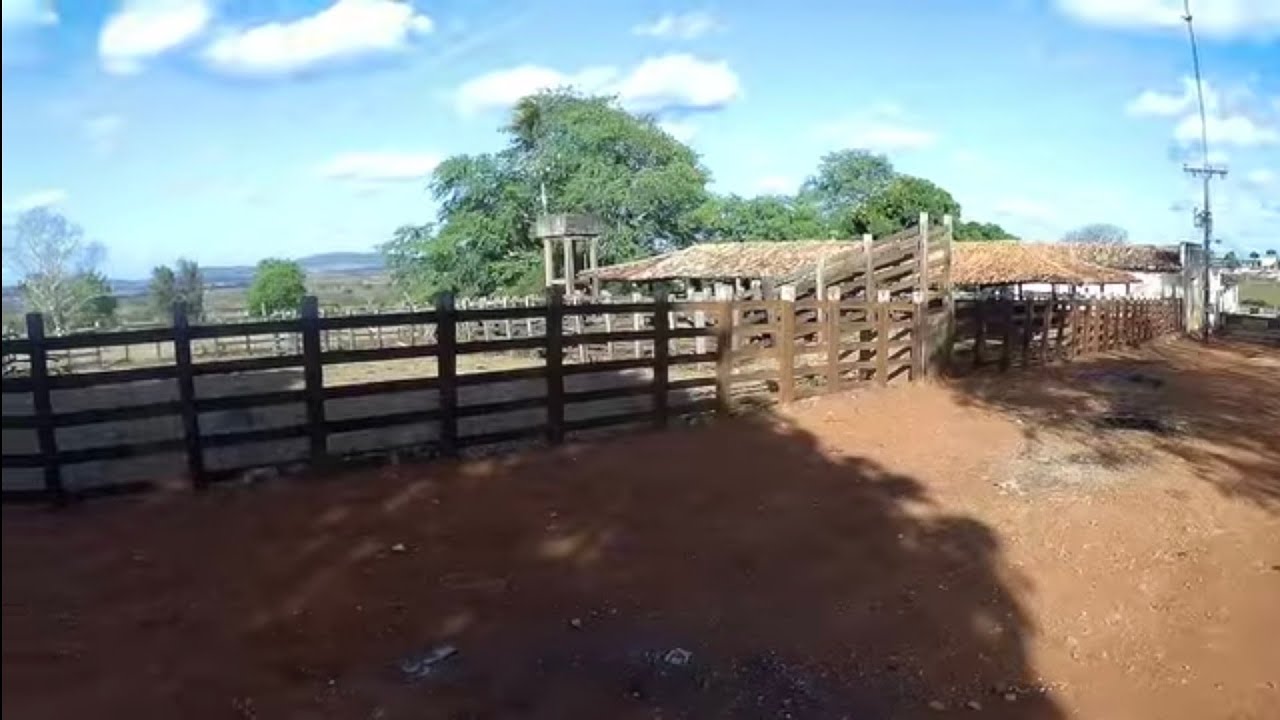 Sítio mocó arapiraca Alagoas 