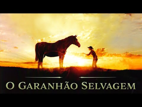 O GARANHÃO SELVAGEM: AVENTURAS E DESCOBERTAS INESQUECÍVEIS
