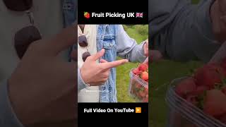 Fruit Picking UK telugutrending telugureels