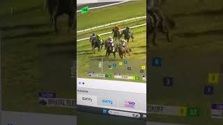 It’s Just Too EASY… #punting #horseracing #racingbets #greyhoundracing  #gambling #bettingtips