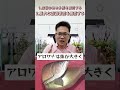 憧れのアロワナ飼育簡単3ステップ #アクアリウム #アロワナ
