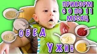 Как Приготовить Прикорм/Рецепты Прикорма Для Малыша/Меню Прикорма В 9-11 Месяцев/Питание До Года