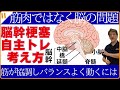 【脳幹梗塞】 自主トレは筋トレではない！筋肉の弱さではなく脳の問題・協調的に動く考え方・脳幹梗塞トミーさんの自主トレNo1
