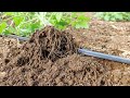 Cosa vuol dire Produciamo Naturalmente | Live Twitch 27/11/22