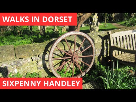 WALKS IN DORSET at SIXPENNY HANDLEY & THE ACKLING DYKE ROMAN ROAD (4K)