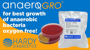From Oxygen-Free to Growth:  The Power of Pre-Reduced Anaerobic Culture Media - AnaeroGRO™