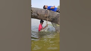 Wat doet de man die op een boomtak slaapt?