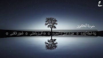 سورة التكوير كاملة||تلاوة هادئة ومؤثرة||حمزة ابو عبيدة