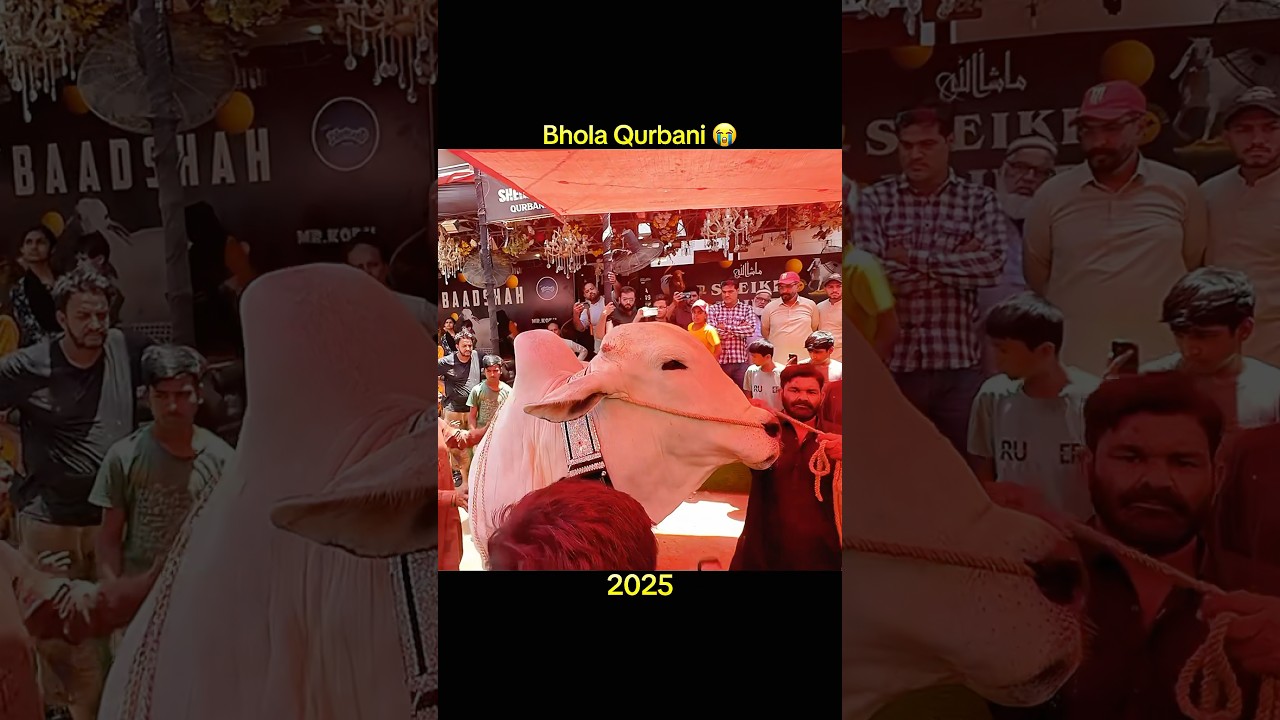 I Gave My All Got Played And Now Im Charging SugaAintFree Healingoutloud Shorts - YouTube Auto PHP Script