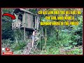 Cô Gái Làm Nhà Tre Trên Cây Giữa Rừng | The Girl Who Made a Bamboo Tree House in the Forest