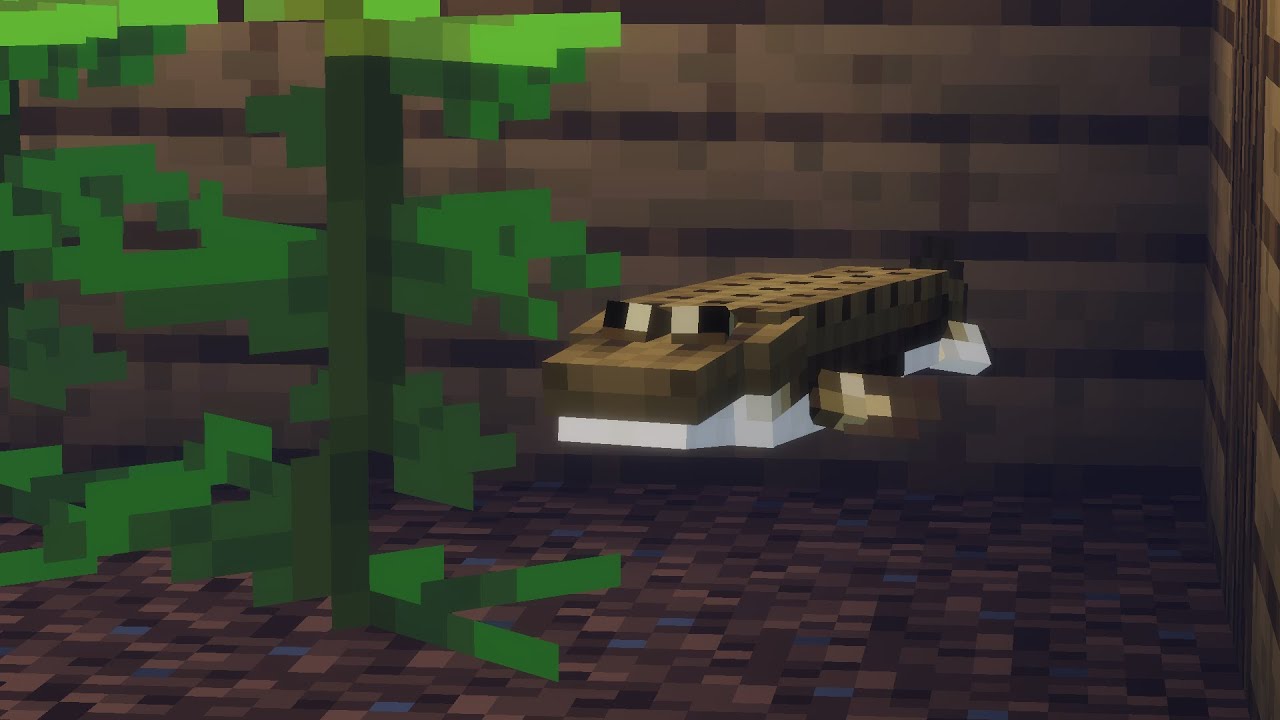 Tiktaalik in the PARK!! (Fossil And Archeology series ep8) - YouTube