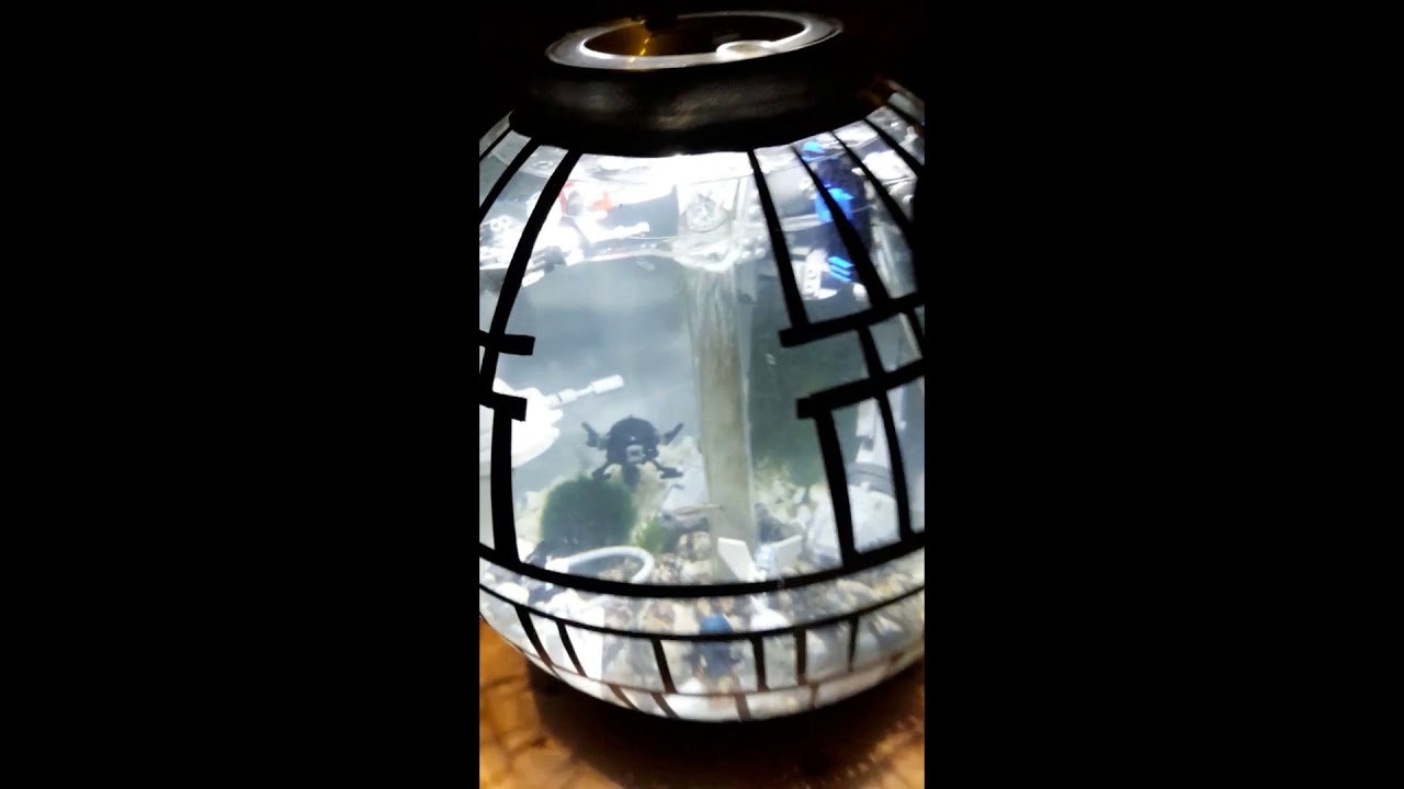Star Wars Death Star Fish Tank Youtube