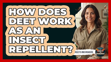 How Does DEET Work As An Insect Repellent?