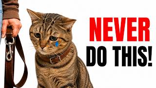 7 Things a Cat Will NEVER Forgive – Most Owners Don’t Know This!