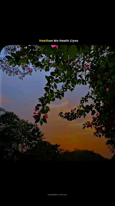 CHAAR KADAM SONG STATUS FULL SCREEN #lyrical