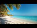 Quiet Shore View — 4K Relaxing Loop | Ocean Breeze, Palm Trees, Soft Ambient Motion