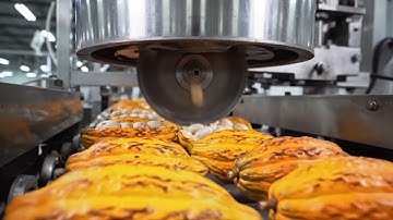 Inside the Modern Hershey Chocolate Factory: From Cocoa to the Perfect Chocolate Bar (full Process)
