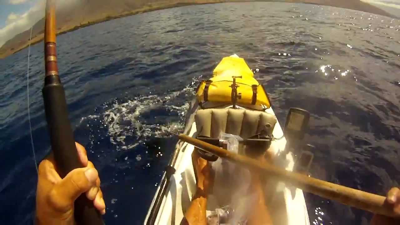 small mahi mahi kayak fishing olowalu maui hawaii YouTube