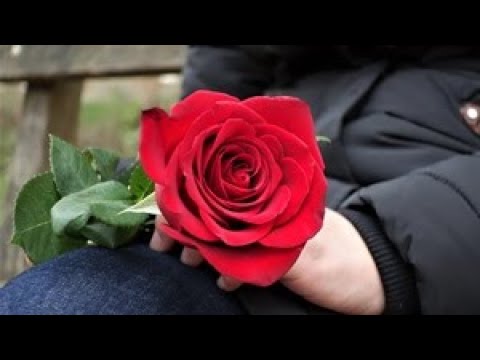 「TATTOO」を歌います♪