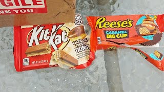 Brody tries Kit Kat Chocolate frosted donut and Reese's caramel Big Cups