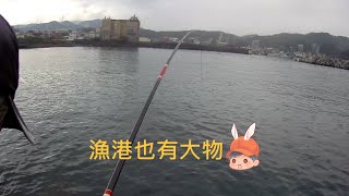 探新釣點貢寮漁港（澳底漁港） 釣況分享Wild fishing in Taiwan ... 