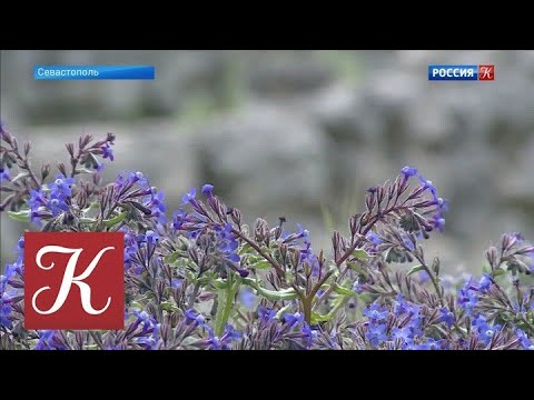 Новости культуры. Эфир от 30.04.2021 (19:30)