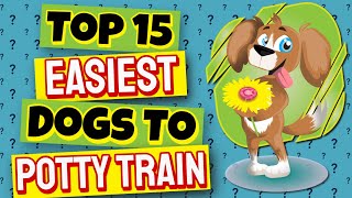 Top 15 Easiest Dogs To Potty Train  Surprisingly Easy Dogs To House Train