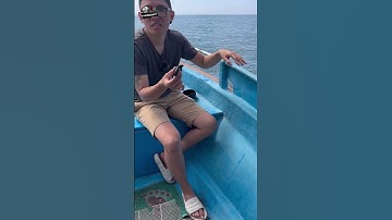 Đi Thả Rùa Biển #shorts