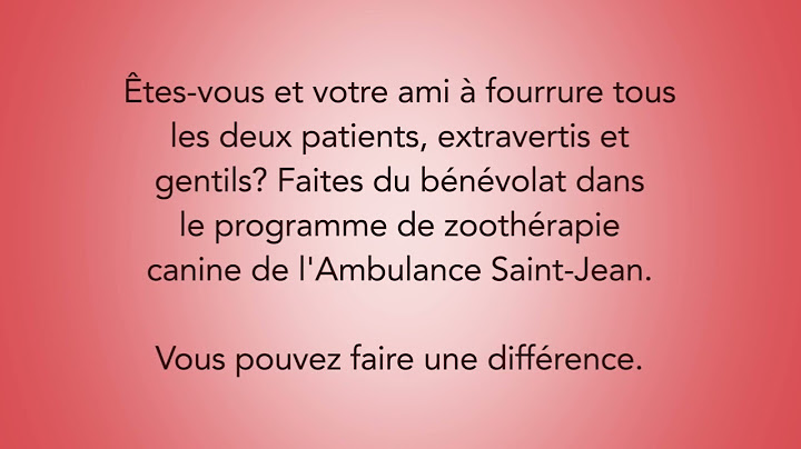 On cherche des chiens de thérapie bénévoles.