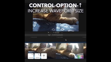 Final Cut Pro Shortcut | Control-Option-Up Arrow | Increase Waveform Size