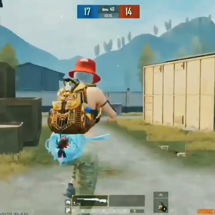 Cardinal_pubg