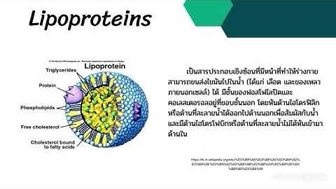 กระบวนการเมทาบอล ซ ม metabolism ค ออะไรแบ งเป นก ประเภท