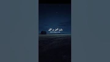 اكتب شيء تؤجر عليه 😴🤍 #القارئ ياسر الدوسري