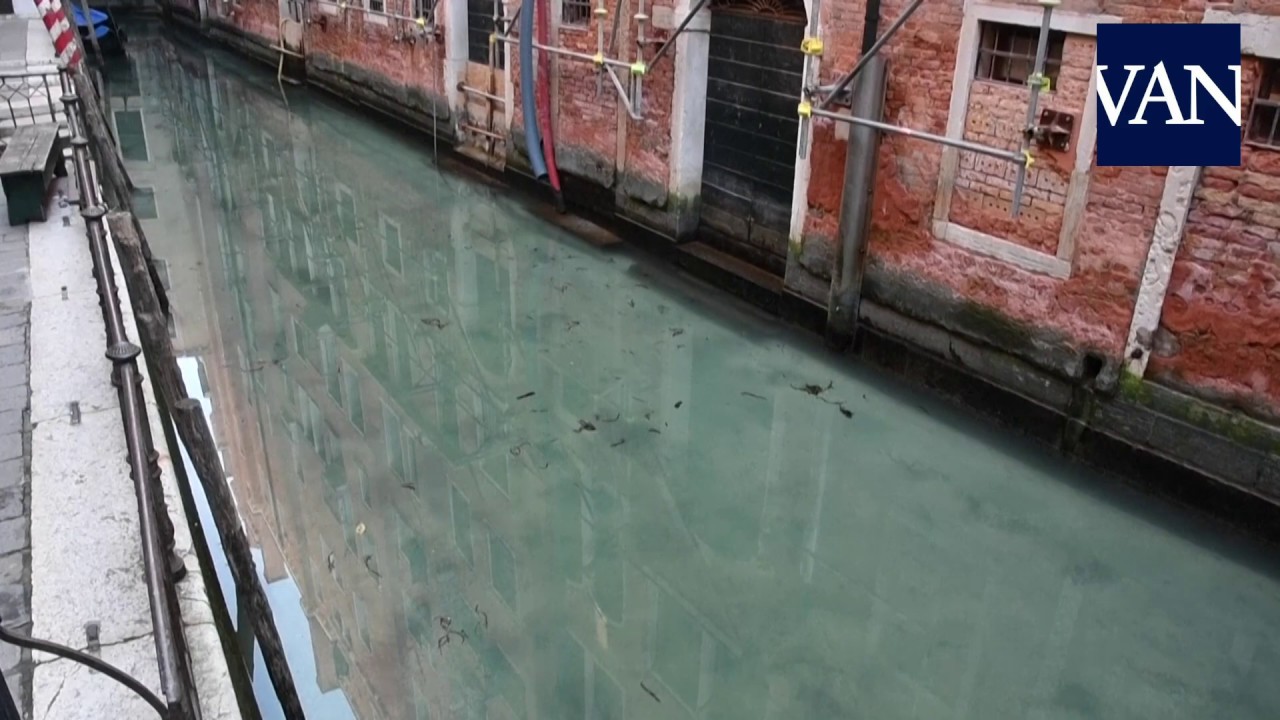 Aguas inusualmente limpias en Venecia por los efectos del coronavirus